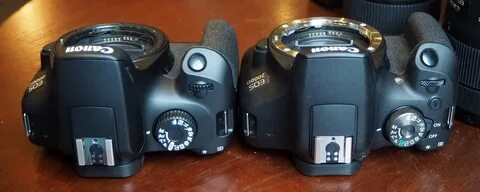 D 4000