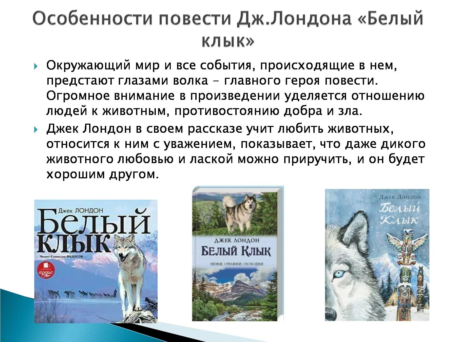 Краткое содержание джека лондона волк. Рассказ белый клык Джек Лондон. Книга белый клык (Лондон Джек). Джек Лондон белый клык презентация. Джек Лондон белый клык иллюстрации.