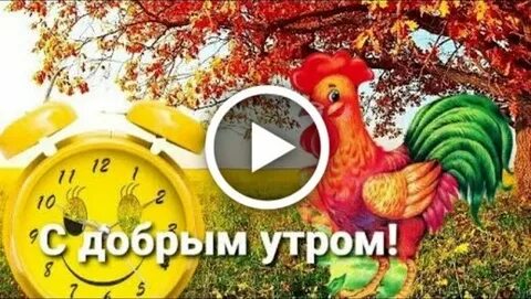 Доброе утро осень видео для ватсапа