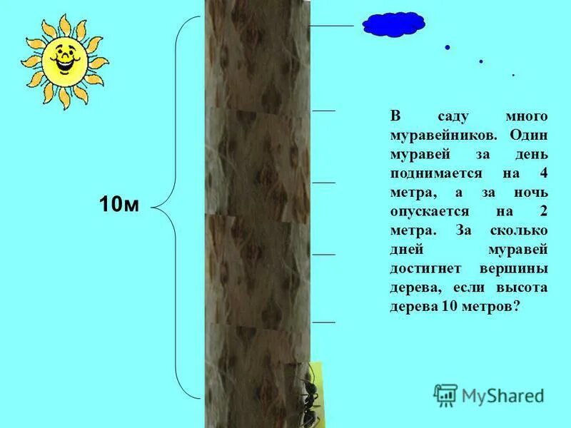 Степень вершины дерева. Сколько метров в высоту Муравейник. Гусеница взбиралась на дерево высотой 14. Поднимается на 2 а спускается на 3. Столб 10 метров улитка