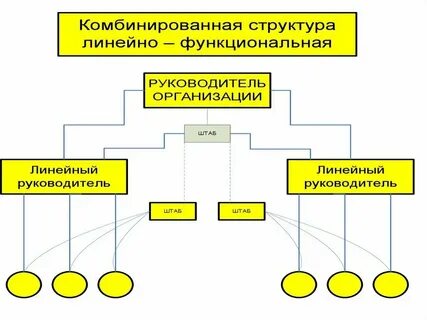 Структура управления и основные направления деятельности