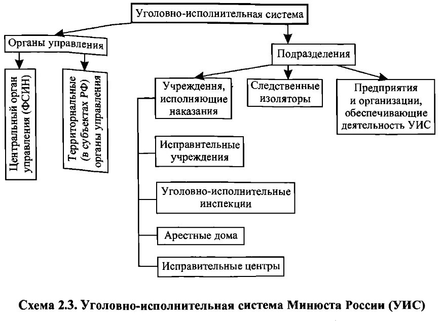 Учреждения уголовно исполнительной системы исполняют. Структура деятельности уголовно-исполнительной системы в РФ.. Схема структуры органов УИС. Органы уголовно-исполнительной системы схема. Схема уголовно исполнительной системы РФ.