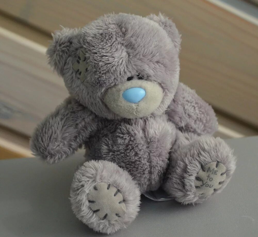 Серый мишка тедди. История плюшевого мишки. Мишка тедди рассказ. Высказывания про медведя. Мишка тедди в синем шарфе.
