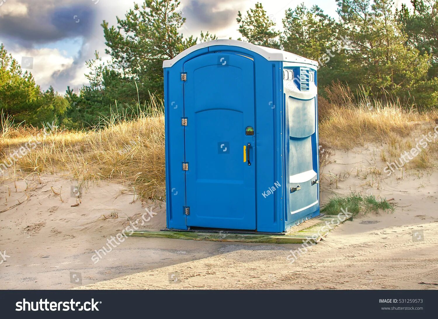 Bio toilet in the park-2020. Portable toilet раст. Wandering bio toilet. Биотуалет ecos bio10. Биотанк арт.