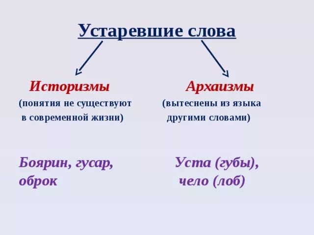 Какие есть новые слова. Историзмы и архаизмы разница. Чем архаизмы отличаются от историзмов. Историзмы и архаизмы примеры. Историзмы примеры слов.