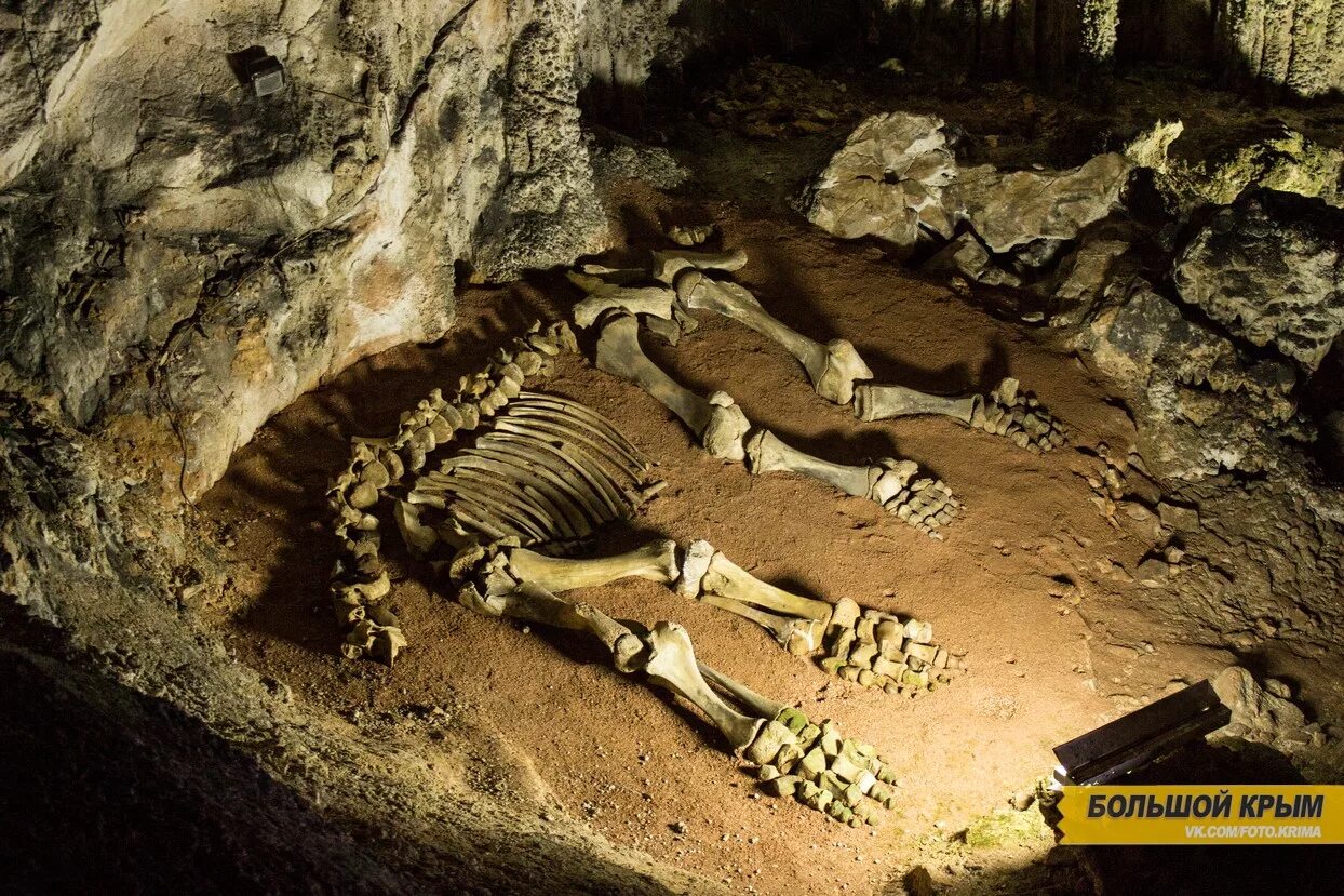 флинт мамонтова пещера. эмине-баир-хосар пещера в крыму. флинт мамонтова пещера. флинт ридж мамонтова пещера. пещера эмине-баир-хосар.