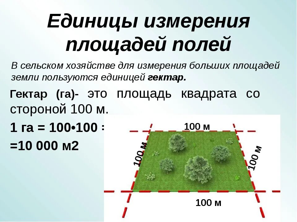 Гектар размер участка. Единицы измерения площади земельных участков. Единицы измерения площади земли. Площадь гектара. Сотки в м 2