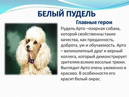Куприн белый пудель читательский дневник 4 класса