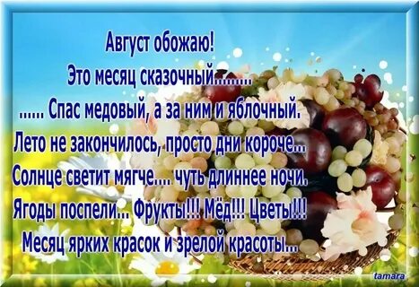 Текст на исходе августа
