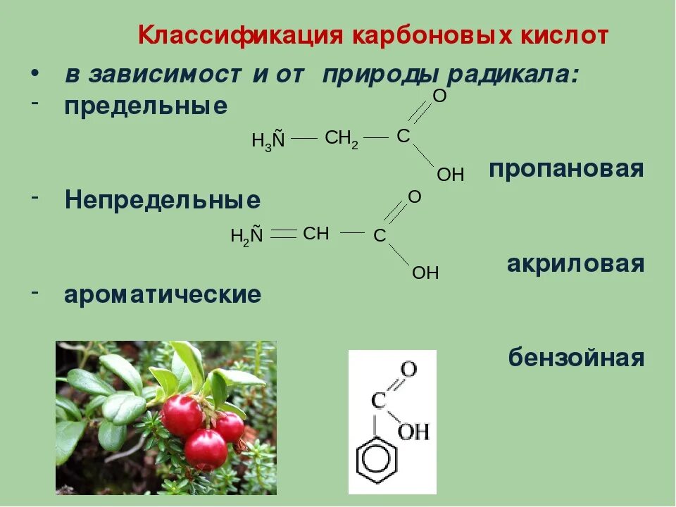 Предельные многоосновные карбоновые кислоты. Ациклические карбоновые кислоты. Ряд непредельных карбоновых кислот. Классификация карбоновых кислот предельные непредельные. Условия карбоновых кислот