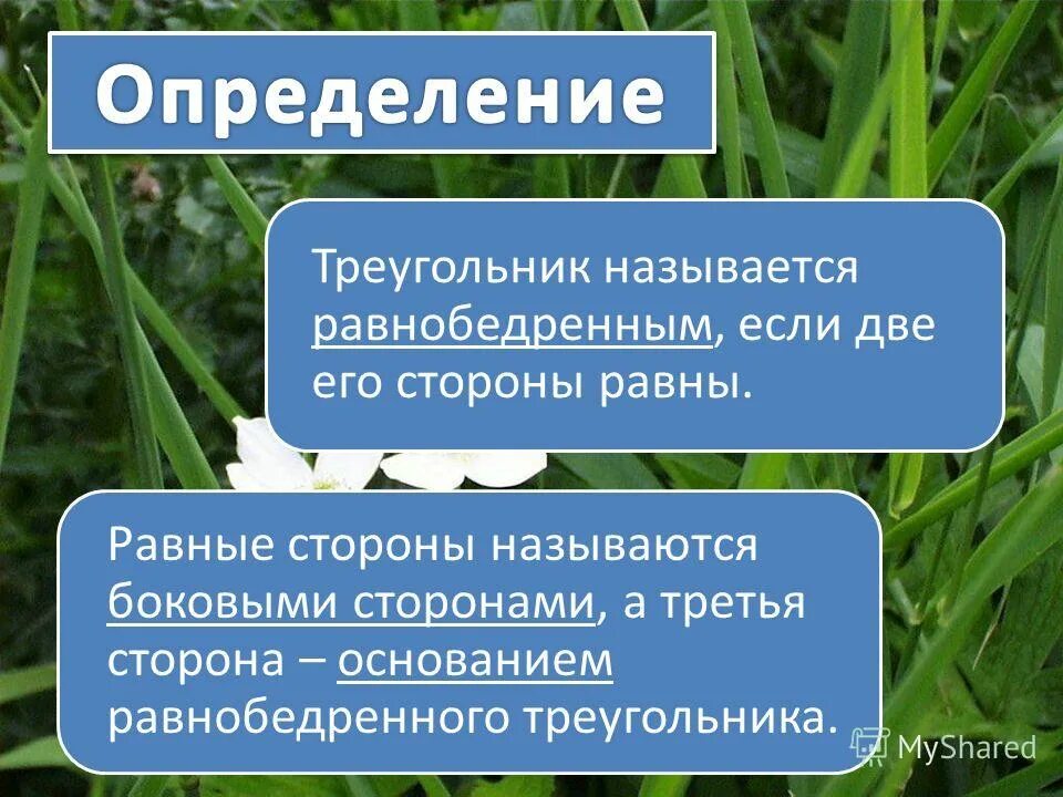 Боковыми называют