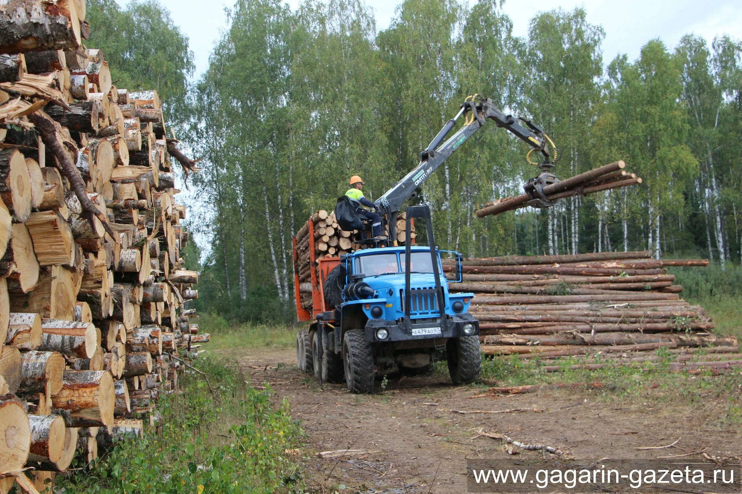 Заготовка леса. Лесовоз дров. Массовая заготовка леса. Лесовоз с роспуском.