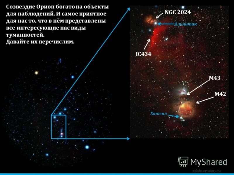 Участники созвездие 2024