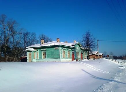 Погода кунья псковская