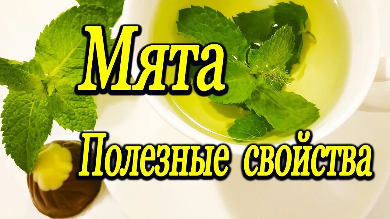 Влияние мяты на потенцию. Польза мяты для организма. Чай из мяты. Польза мятного. Чем полезна мята.