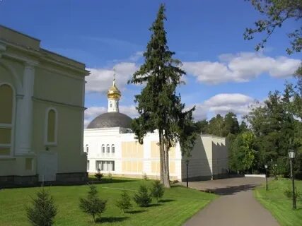Плесково сайте