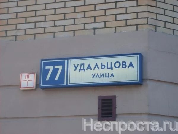 Удальцова 4 телефон. Удальцова 77. ул. удальцова, 54. улица удальцова поликлиника. ул удальцова 48.