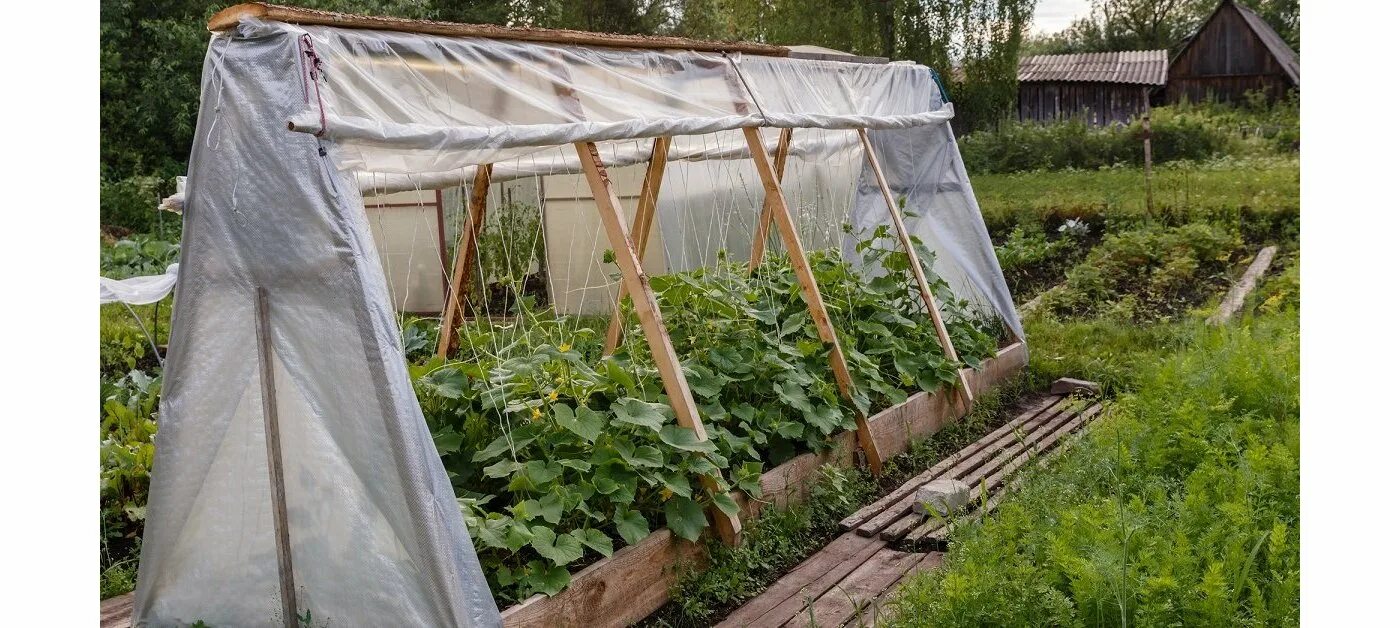 Лучший парник для огурцов. Огурцы в парнике. Мини-теплица парник jxx-11003. Самодельная теплица. Парник из пластиковых труб.