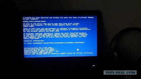 Компьютер вася
