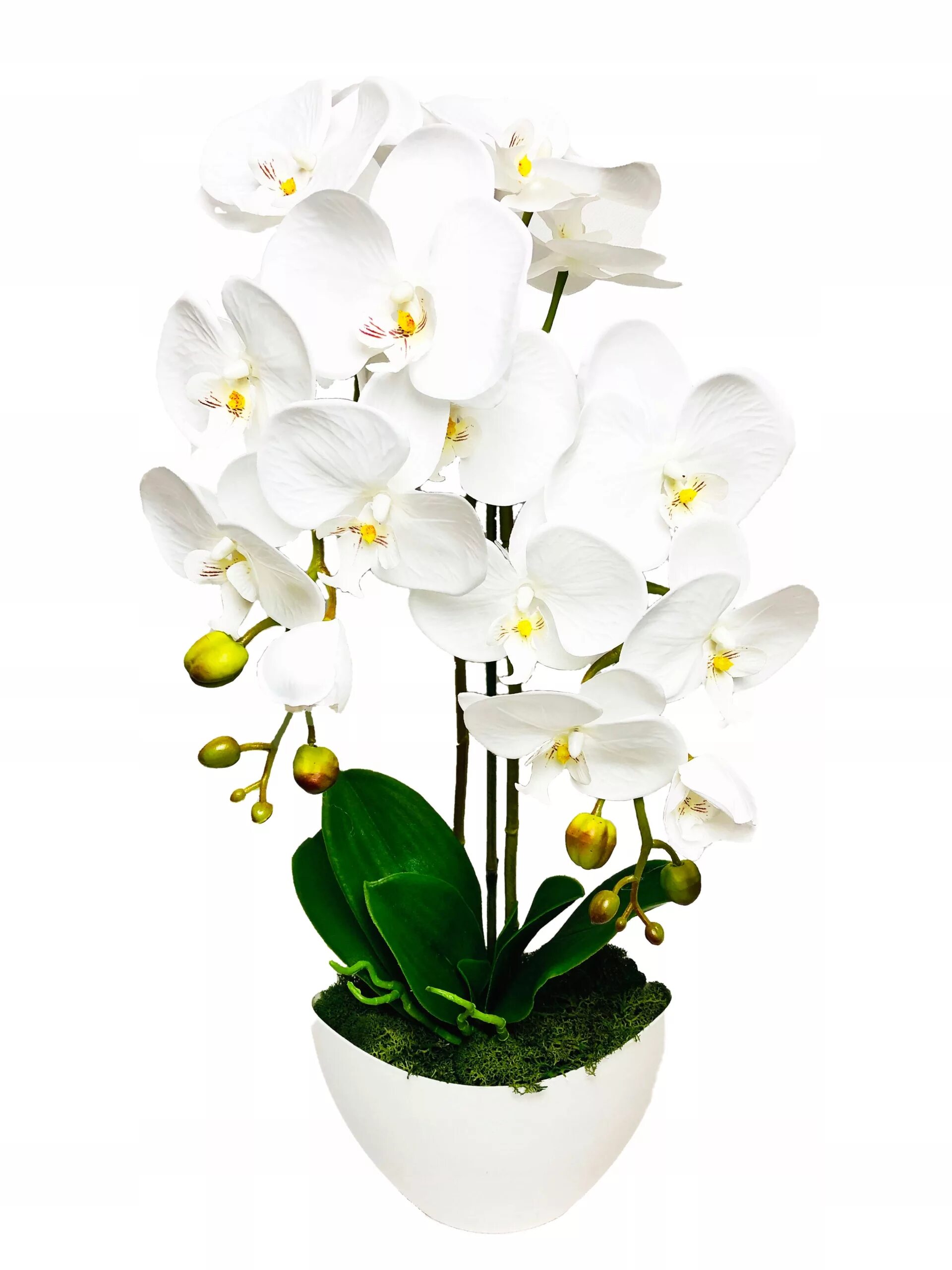 Орхидея белая в горшке. Орхидея белая искусственная. Фаленопсис белый искусственный.