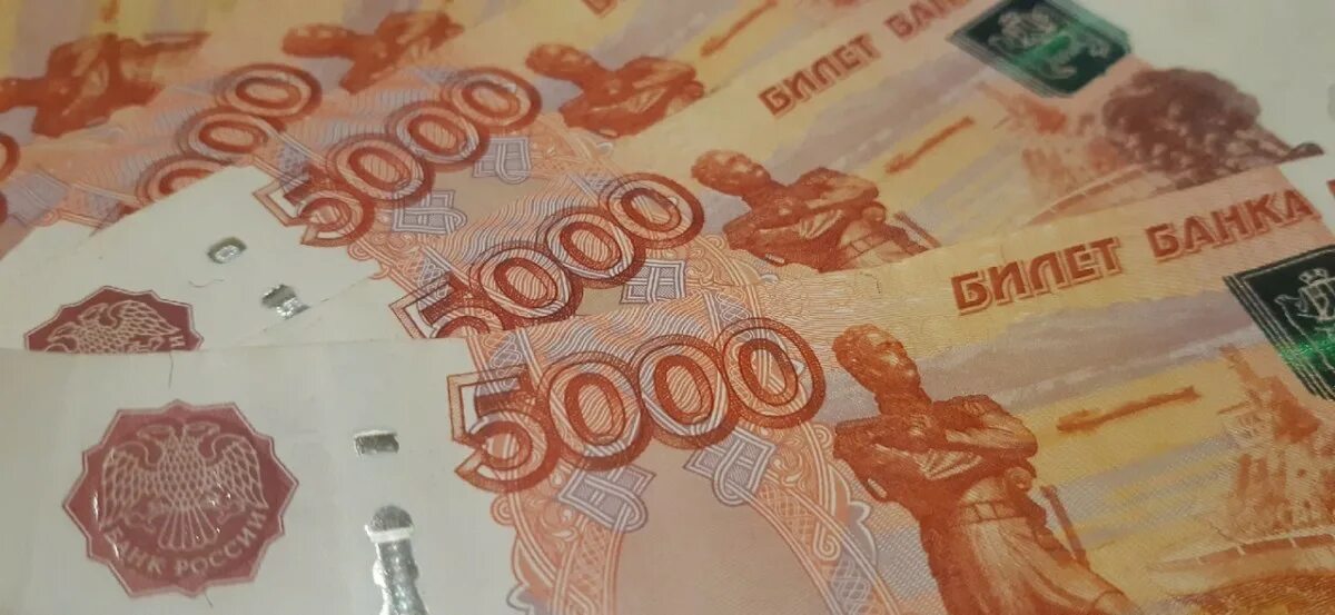 1 19 млн. 100 Рублей убытка. Самозанятые Курганской области задолжали налоговой 12 млн рублей.