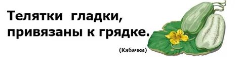 Привязаны к грядке