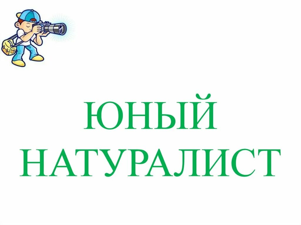 Юный натуралист. Юный натуралист надпись. Логотип Юный натуралист. Юный натуралист кружок для детей.