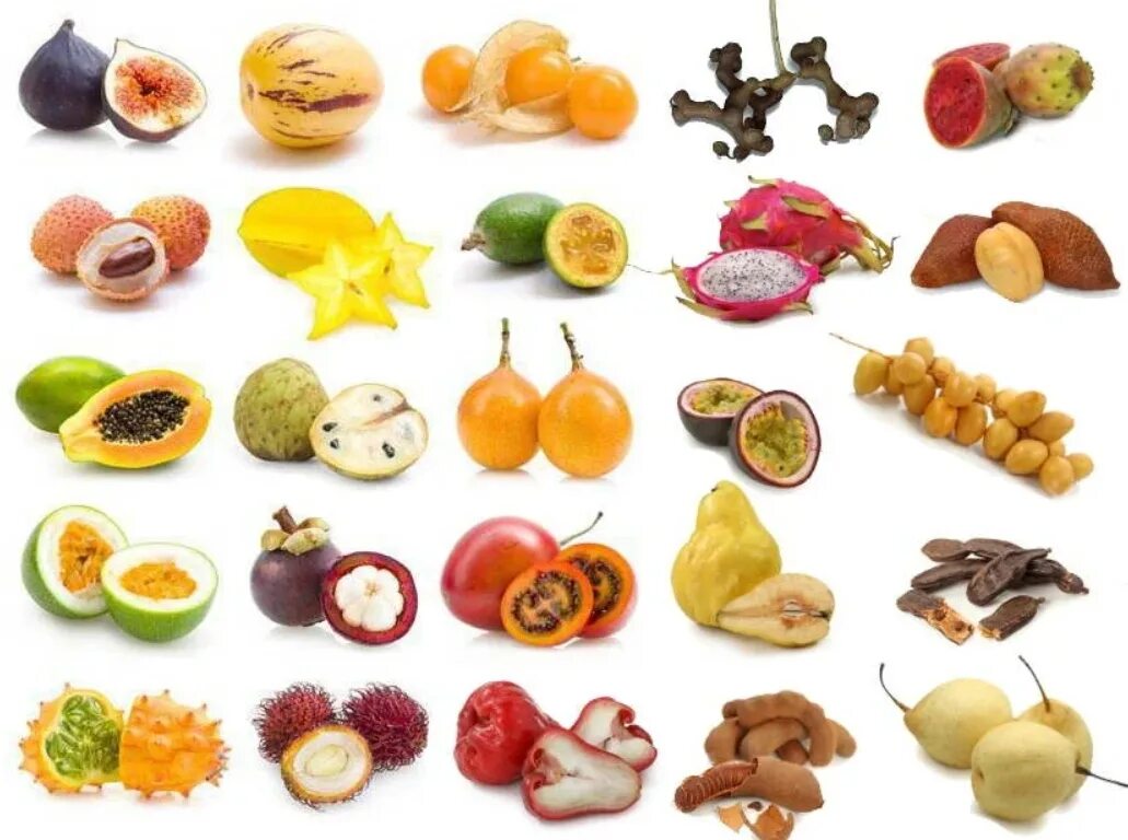 25 фруктов. Экзотические фрукты названия. Наименования экзотических фруктов. Тропические фрукты названия. Экзотические фрукты и овощи с названиями.