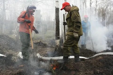 Пожары почв