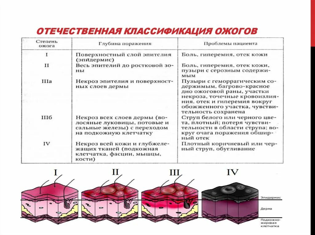 Классификация ожогов составить таблицу Дифференциальный диагноз химических ожогов фото презентация