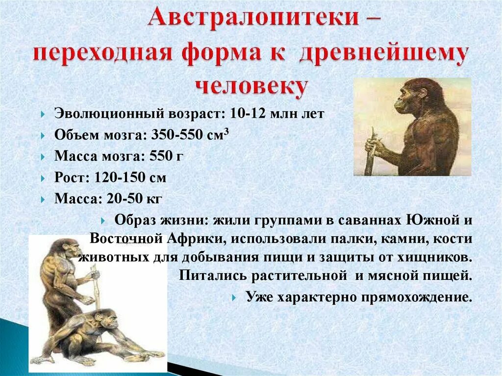 Австралопитек исторический возраст