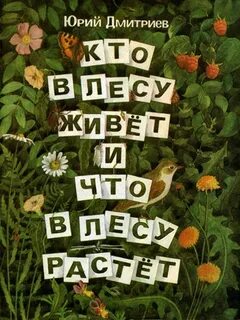 В каком лесу лучше жить