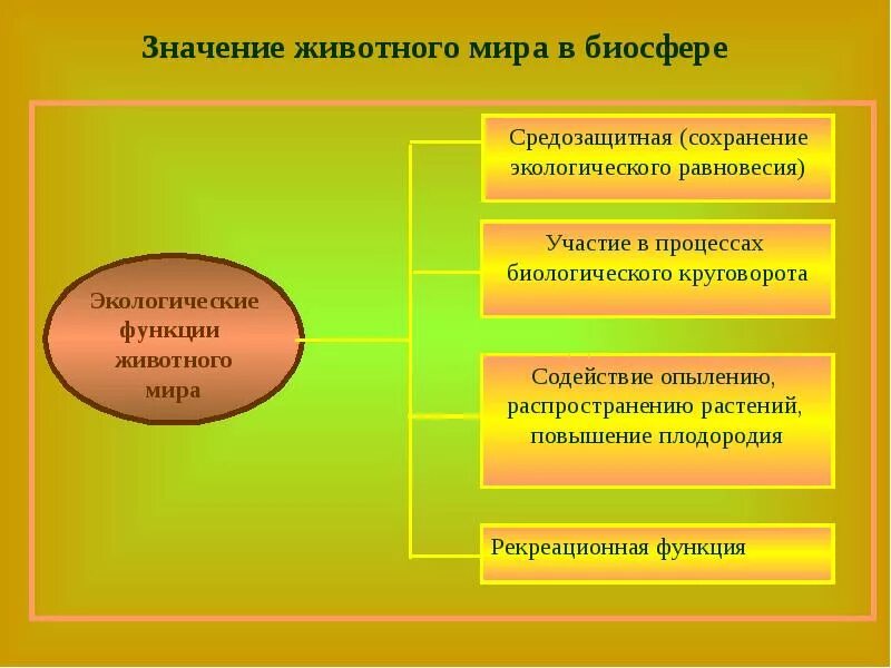 Значение животных в биосфере. Функции животных в биосфере. Роль и значение животных в биосфере. Какую роль играет биосфера в жизни людей