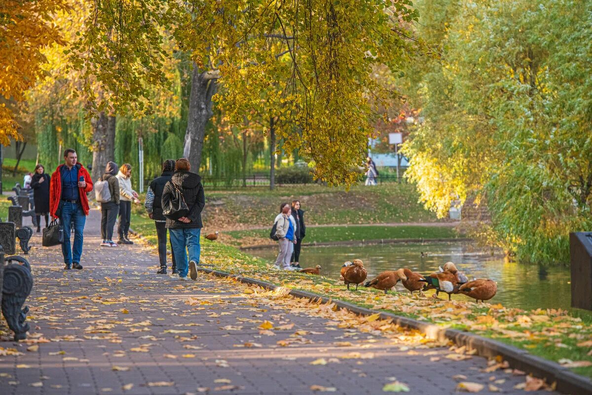 События осени москва