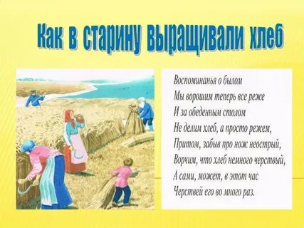 Как люди вырастили хлеб колоски