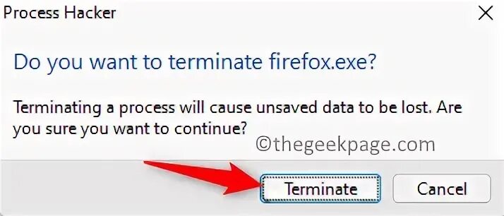 Application will terminate. Application will terminate