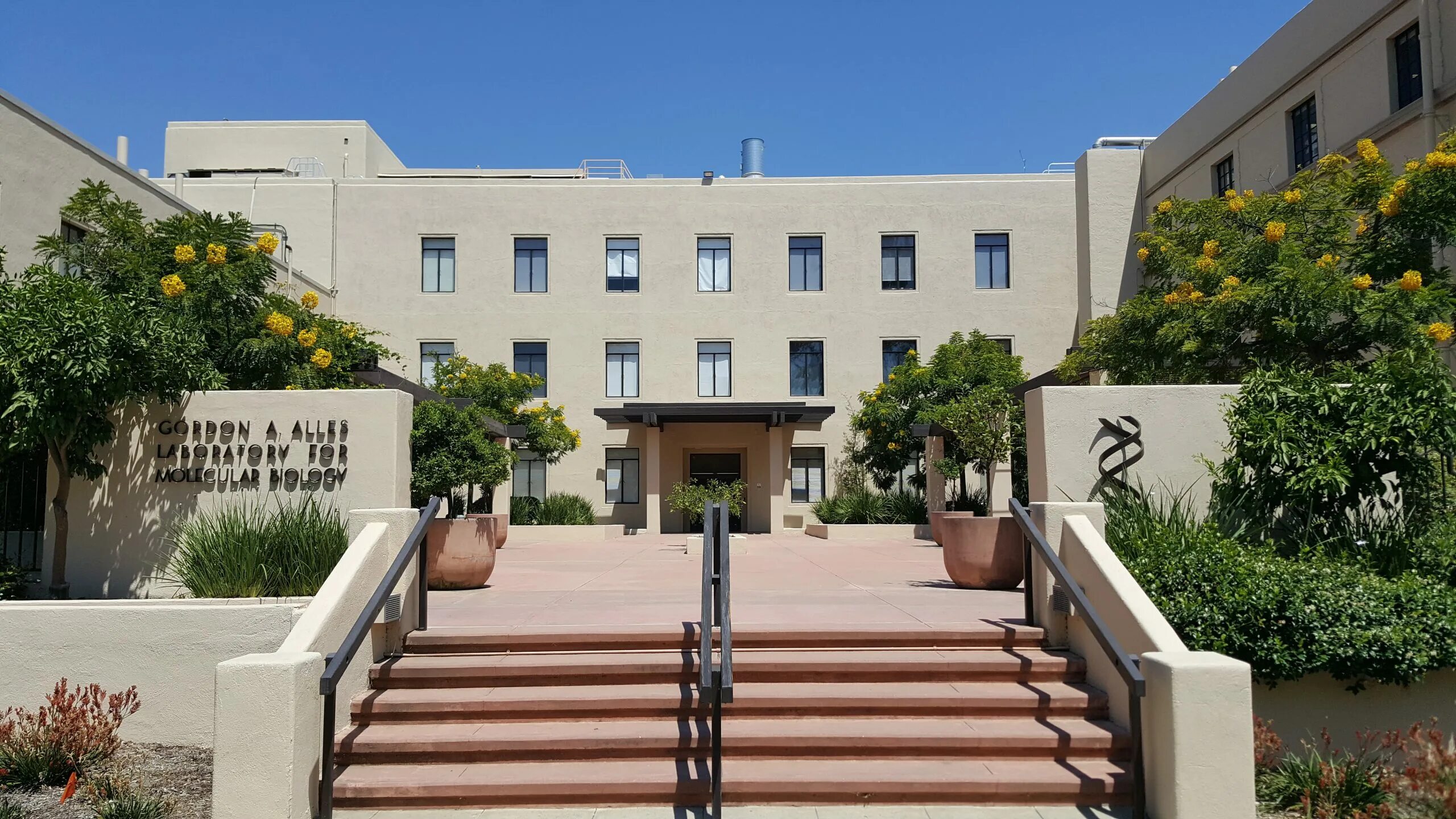 Institute of information technologies