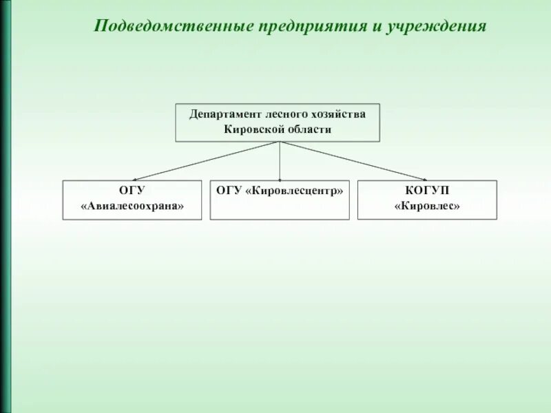 Подведомственные учреждения это. Подведомственные организации Министерства. Структура лесного хозяйства. Департамент лесного хозяйства презентация.