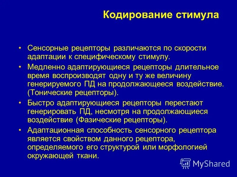 Функции сенсорных рецепторов. Функции сенсорной системы человека. Функции сенсорных рецепторов. Основная функция рецептора. Функции сенсорных рецепторов.