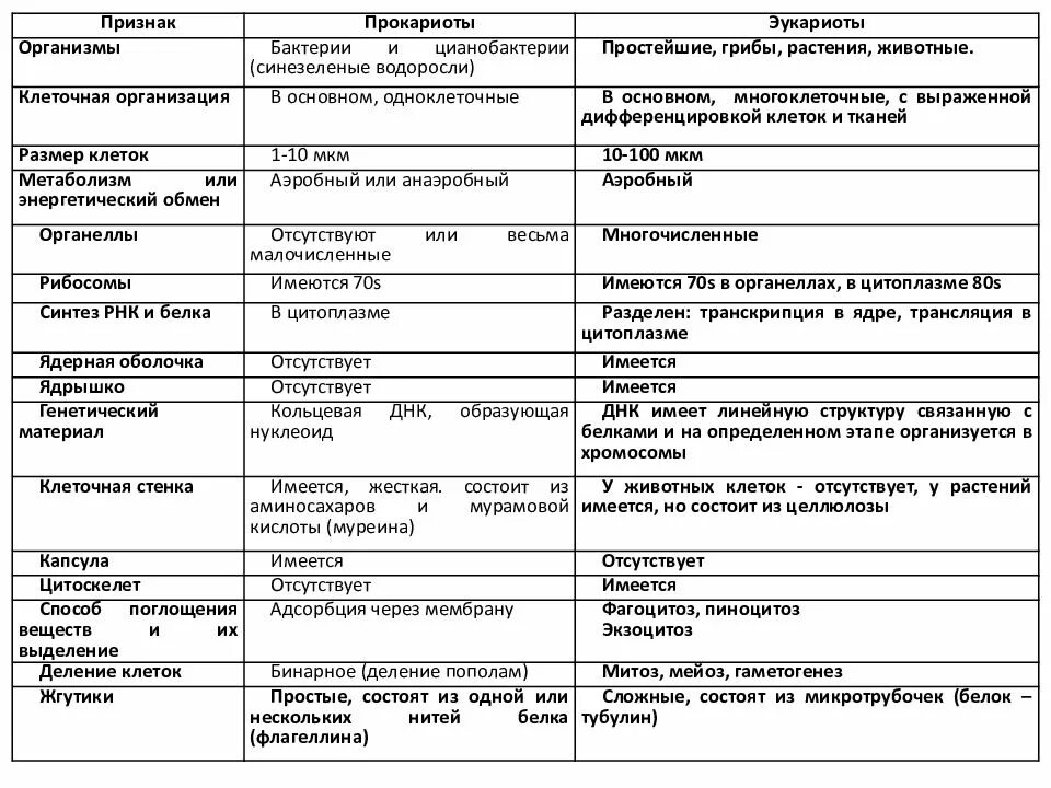 Прокариоты основной признак. Сравните клетки эукариот и прокариот. Отличие прокариот от эукариот таблица. Сравнительная характеристика прокариот и эукариот таблица 11 класс. Сравнение клеток прокариот и эукариот таблица 9 класс.