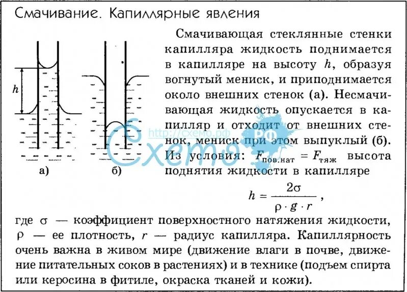 Жидкость капиллярное явление. Смачивание и несмачивание капиллярные явления. Поверхностное натяжение жидкостей смачивание капиллярные явления. Смачивание физика капиллярные явления. Капиллярные явления физика 10 класс.