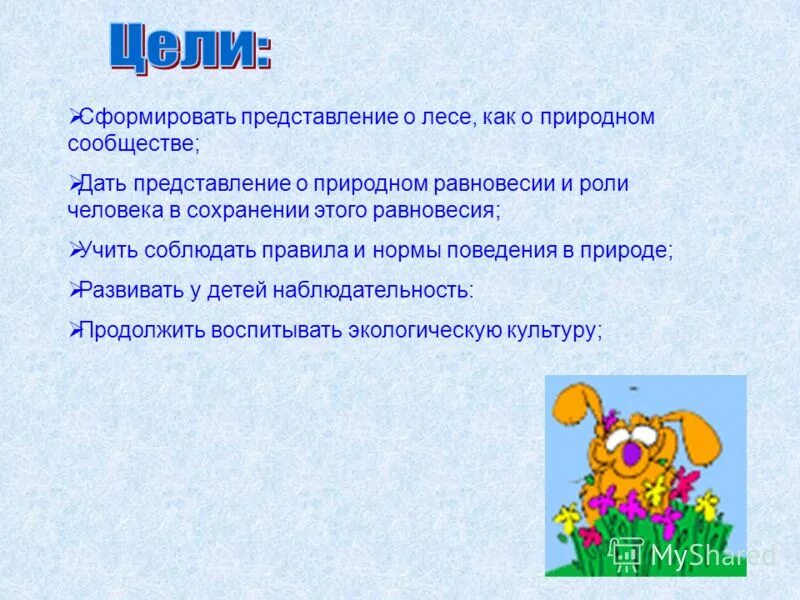Сформировать представление. Сформировать представление