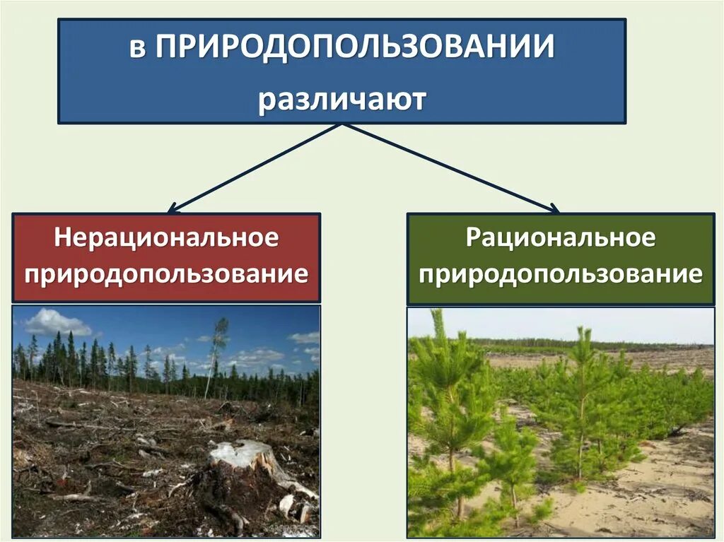 Рациональное и нерациональное использование. Рациональное и нерациональное природопользование. Hfwbjyfkmyjt b ytроциональное природопользование. Рационпльноеприродо использования. Рациональное ОО нерациональное природопользование.