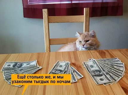 Среда картинки смешные с надписями