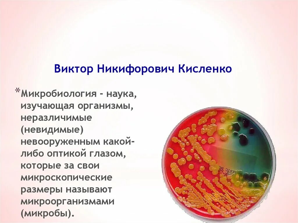 Микробиология изучает бактерии. Микробиология это наука. микробиология это наука изучающая. микробиология презентация. простейшие микробиология.