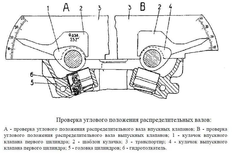 Выставить фазы. Схема распредвалов змз 406 инжектор. метки грм змз 406 градусы. фазы газораспределения двигателя змз 406. схема фаз газораспределения змз 405 евро 3.