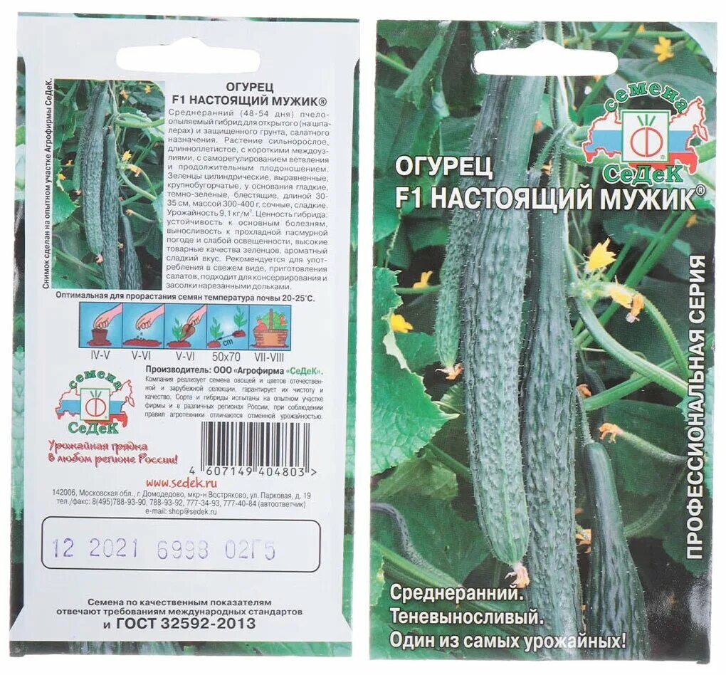 огурцы мужское достоинство. семена огурцов настоящий полковник купить. сорт огурца настоящий мужик. огурец маменькин любимчик f1. огурец настоящий мужик f1 седек.