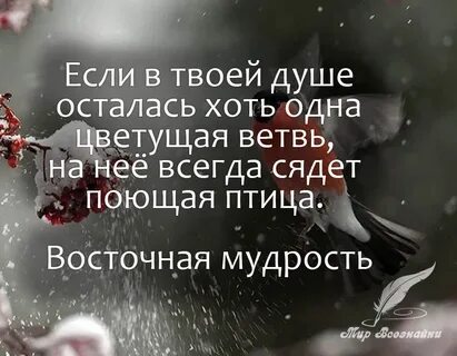 Всегда будет остается чистой и