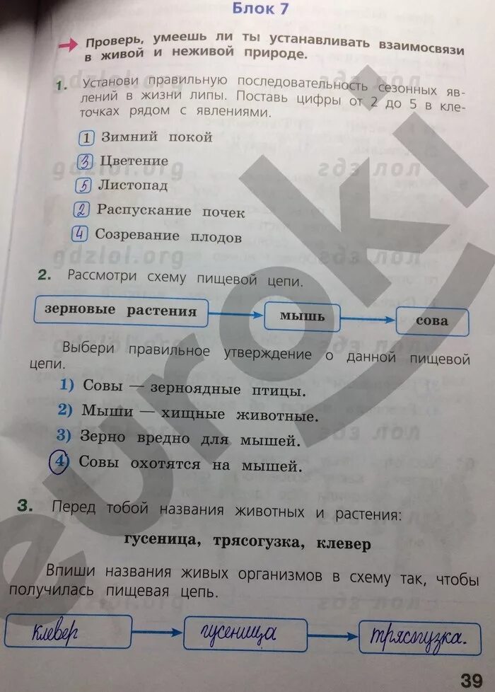 Тетрадь по впр окружающий мир 4 класс. Тетрадь впр окружающий мир 4 класс тетрадь. домашнее задание 4 класс впр. впр окружающий мир. впр 4 класс окружающий.