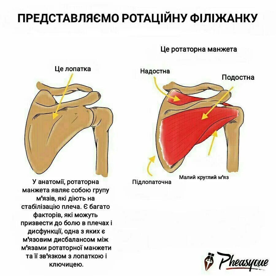 Повреждение плечевого сустава. Ранение плечевого сустава. Повреждения правого плечевого сустава